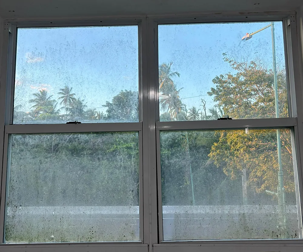 Ventana de guillotina con una película de mugre y moho sobre el cristal que nubla la vista hacia las palmas