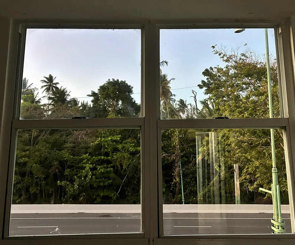 La misma ventana ya limpia, con el cristal transparente y la vista de las palmas y la carretera nítida